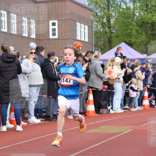 14.04.2024 - Hammer Lauf Strokosch-Dieckow http://msf.ph/oto/6065110 14.04.2024 09:49:39 Ziel 154, 789, 865, 947, 1147, 154, 789, 865, 947, 1147 meine-sportfotos.de