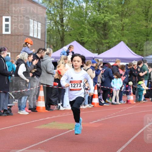 14.04.2024 - Hammer Lauf Strokosch-Dieckow http://msf.ph/oto/6065120 14.04.2024 09:49:44 Ziel 865, 947, 951, 964, 1147, 1273, 865, 947, 951, 964, 1147, 1273 meine-sportfotos.de