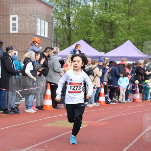 14.04.2024 - Hammer Lauf Strokosch-Dieckow http://msf.ph/oto/6065121 14.04.2024 09:49:44 Ziel 865, 947, 951, 964, 1147, 1273, 865, 947, 951, 964, 1147, 1273 meine-sportfotos.de