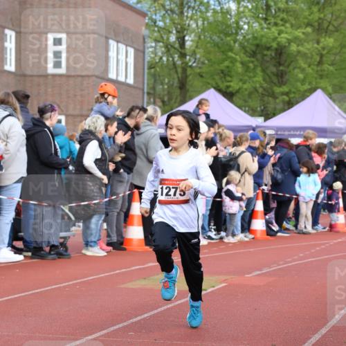 14.04.2024 - Hammer Lauf Strokosch-Dieckow http://msf.ph/oto/6065122 14.04.2024 09:49:44 Ziel 865, 947, 951, 964, 1147, 1273, 865, 947, 951, 964, 1147, 1273 meine-sportfotos.de