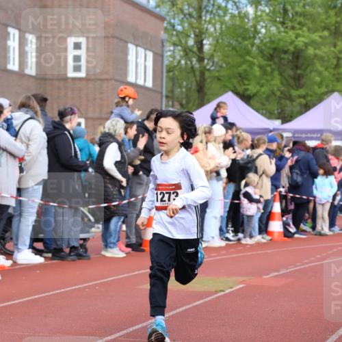 14.04.2024 - Hammer Lauf Strokosch-Dieckow http://msf.ph/oto/6065123 14.04.2024 09:49:45 Ziel 951, 964, 1147, 1273, 951, 964, 1147, 1273 meine-sportfotos.de