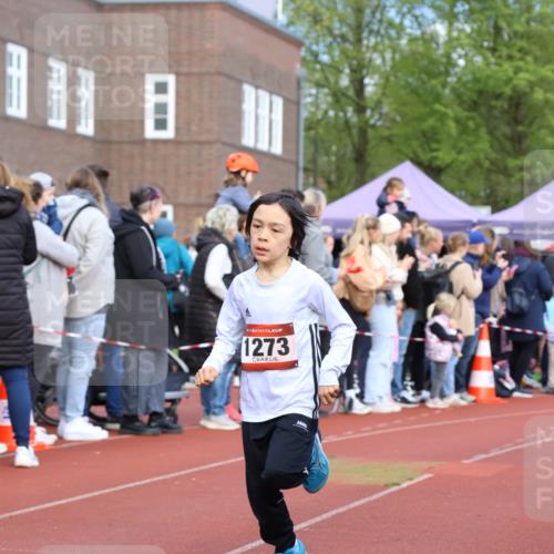 14.04.2024 - Hammer Lauf Strokosch-Dieckow http://msf.ph/oto/6065124 14.04.2024 09:49:45 Ziel 951, 964, 1147, 1273, 951, 964, 1147, 1273 meine-sportfotos.de
