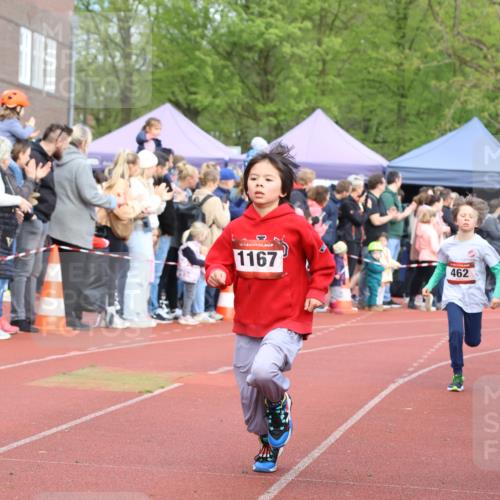 14.04.2024 - Hammer Lauf Strokosch-Dieckow http://msf.ph/oto/6065126 14.04.2024 09:49:47 Ziel 951, 964, 1147, 1167, 1273, 951, 964, 1147, 1167, 1273 meine-sportfotos.de
