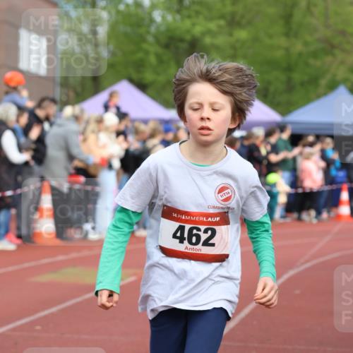 14.04.2024 - Hammer Lauf Strokosch-Dieckow http://msf.ph/oto/6065132 14.04.2024 09:49:49 Ziel 462, 951, 964, 1167, 1273, 462, 951, 964, 1167, 1273 meine-sportfotos.de