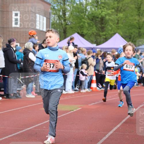 14.04.2024 - Hammer Lauf Strokosch-Dieckow http://msf.ph/oto/6065136 14.04.2024 09:49:52 Ziel 462, 637, 1167, 1273, 1371, 462, 637, 1167, 1273, 1371 meine-sportfotos.de