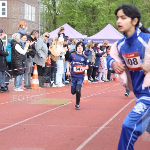 14.04.2024 - Hammer Lauf Strokosch-Dieckow http://msf.ph/oto/6065143 14.04.2024 09:49:55 Ziel 462, 513, 637, 647, 926, 1024, 1167, 1371, 462, 513, 637, 647, 926, 1024, 1167, 1371 meine-sportfotos.de