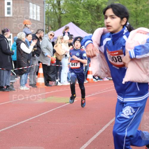 14.04.2024 - Hammer Lauf Strokosch-Dieckow http://msf.ph/oto/6065144 14.04.2024 09:49:55 Ziel 462, 513, 637, 647, 926, 1024, 1167, 1371, 462, 513, 637, 647, 926, 1024, 1167, 1371 meine-sportfotos.de