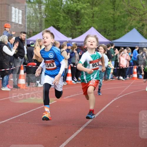 14.04.2024 - Hammer Lauf Strokosch-Dieckow http://msf.ph/oto/6065159 14.04.2024 09:50:01 Ziel 449, 504, 513, 637, 647, 926, 938, 940, 953, 1024, 1161, 1343, 1371, 449, 504, 513, 637, 647, 926, 938, 940, 953, 1024, 1161, 1343, 1371 meine-sportfotos.de
