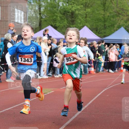 14.04.2024 - Hammer Lauf Strokosch-Dieckow http://msf.ph/oto/6065161 14.04.2024 09:50:02 Ziel 449, 504, 513, 637, 647, 926, 938, 940, 953, 1024, 1161, 1286, 1343, 1371, 449, 504, 513, 637, 647, 926, 938, 940, 953, 1024, 1161, 1286, 1343, 1371 meine-sportfotos.de