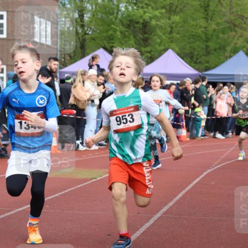 14.04.2024 - Hammer Lauf Strokosch-Dieckow http://msf.ph/oto/6065162 14.04.2024 09:50:02 Ziel 449, 504, 513, 637, 647, 926, 938, 940, 953, 1024, 1161, 1286, 1343, 1371, 449, 504, 513, 637, 647, 926, 938, 940, 953, 1024, 1161, 1286, 1343, 1371 meine-sportfotos.de