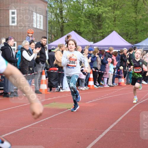 14.04.2024 - Hammer Lauf Strokosch-Dieckow http://msf.ph/oto/6065163 14.04.2024 09:50:02 Ziel 449, 504, 513, 637, 647, 926, 938, 940, 953, 1024, 1161, 1286, 1343, 1371, 449, 504, 513, 637, 647, 926, 938, 940, 953, 1024, 1161, 1286, 1343, 1371 meine-sportfotos.de