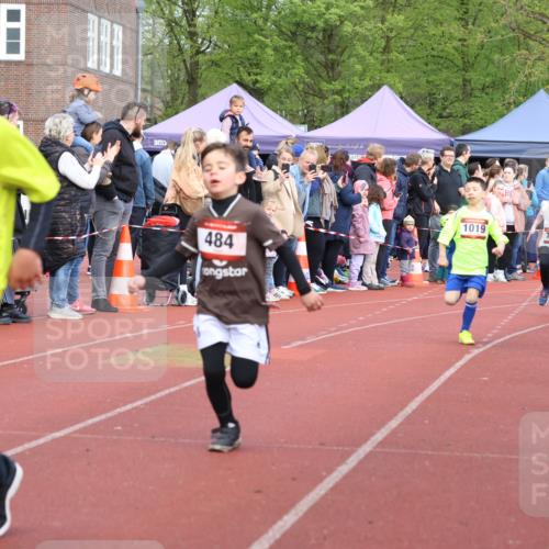 14.04.2024 - Hammer Lauf Strokosch-Dieckow http://msf.ph/oto/6065174 14.04.2024 09:50:10 Ziel 725, 938, 940, 953, 1253, 1286, 1343, 725, 938, 940, 953, 1253, 1286, 1343 meine-sportfotos.de