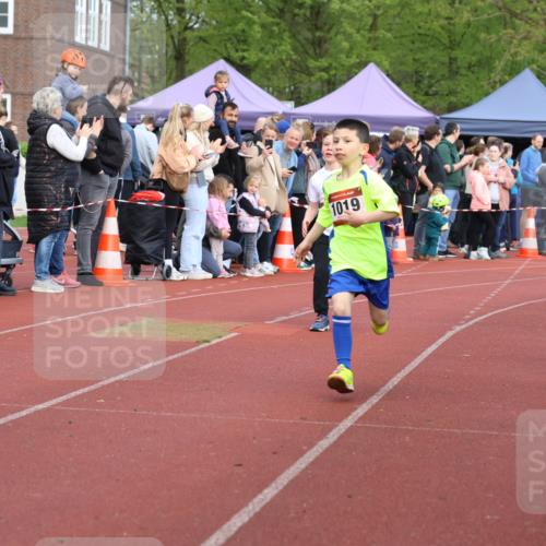 14.04.2024 - Hammer Lauf Strokosch-Dieckow http://msf.ph/oto/6065176 14.04.2024 09:50:12 Ziel 484, 725, 739, 1019, 1253, 1286, 484, 725, 739, 1019, 1253, 1286 meine-sportfotos.de