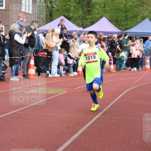 14.04.2024 - Hammer Lauf Strokosch-Dieckow http://msf.ph/oto/6065177 14.04.2024 09:50:12 Ziel 484, 725, 739, 1019, 1253, 1286, 484, 725, 739, 1019, 1253, 1286 meine-sportfotos.de