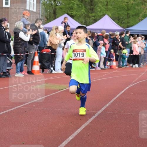 14.04.2024 - Hammer Lauf Strokosch-Dieckow http://msf.ph/oto/6065179 14.04.2024 09:50:12 Ziel 484, 725, 739, 1019, 1253, 1286, 484, 725, 739, 1019, 1253, 1286 meine-sportfotos.de