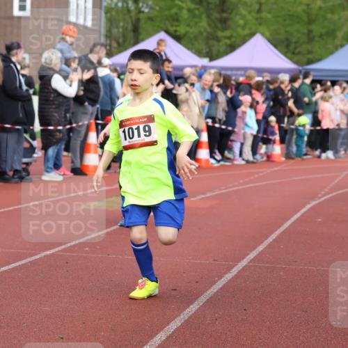 14.04.2024 - Hammer Lauf Strokosch-Dieckow http://msf.ph/oto/6065181 14.04.2024 09:50:12 Ziel 484, 725, 739, 1019, 1253, 1286, 484, 725, 739, 1019, 1253, 1286 meine-sportfotos.de