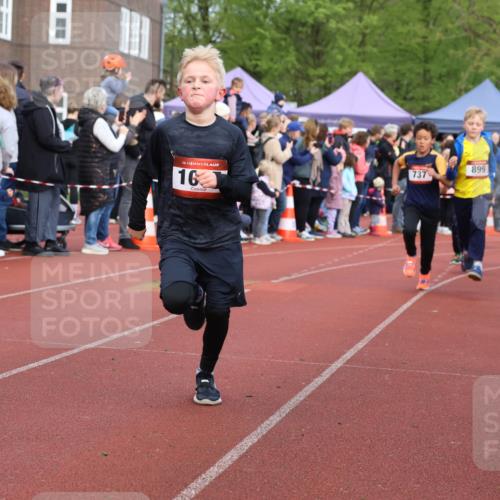 14.04.2024 - Hammer Lauf Strokosch-Dieckow http://msf.ph/oto/6065185 14.04.2024 09:50:17 Ziel 484, 725, 739, 863, 899, 1005, 1019, 484, 725, 739, 863, 899, 1005, 1019 meine-sportfotos.de