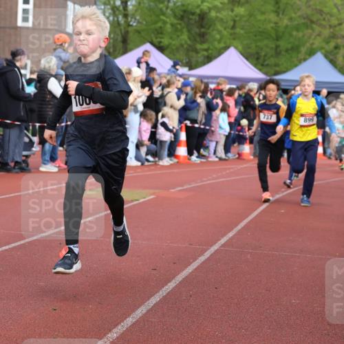 14.04.2024 - Hammer Lauf Strokosch-Dieckow http://msf.ph/oto/6065186 14.04.2024 09:50:17 Ziel 484, 725, 739, 863, 899, 1005, 1019, 484, 725, 739, 863, 899, 1005, 1019 meine-sportfotos.de
