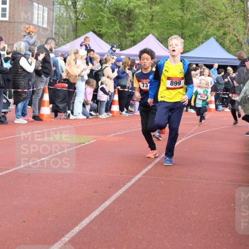 14.04.2024 - Hammer Lauf Strokosch-Dieckow http://msf.ph/oto/6065187 14.04.2024 09:50:17 Ziel 484, 725, 739, 863, 899, 1005, 1019, 484, 725, 739, 863, 899, 1005, 1019 meine-sportfotos.de
