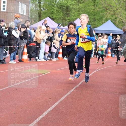 14.04.2024 - Hammer Lauf Strokosch-Dieckow http://msf.ph/oto/6065188 14.04.2024 09:50:17 Ziel 484, 725, 739, 863, 899, 1005, 1019, 484, 725, 739, 863, 899, 1005, 1019 meine-sportfotos.de