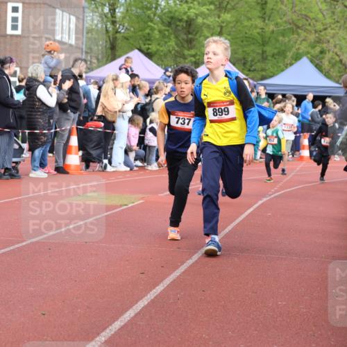 14.04.2024 - Hammer Lauf Strokosch-Dieckow http://msf.ph/oto/6065189 14.04.2024 09:50:18 Ziel 484, 725, 737, 739, 863, 899, 1005, 1019, 1065, 484, 725, 737, 739, 863, 899, 1005, 1019, 1065 meine-sportfotos.de