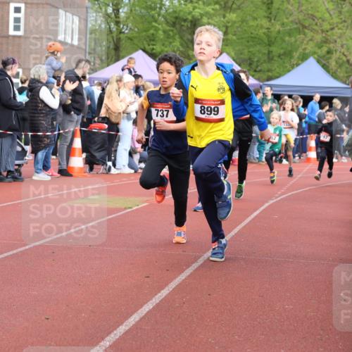 14.04.2024 - Hammer Lauf Strokosch-Dieckow http://msf.ph/oto/6065190 14.04.2024 09:50:18 Ziel 484, 725, 737, 739, 863, 899, 1005, 1019, 1065, 484, 725, 737, 739, 863, 899, 1005, 1019, 1065 meine-sportfotos.de