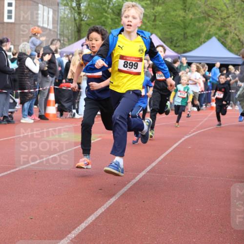14.04.2024 - Hammer Lauf Strokosch-Dieckow http://msf.ph/oto/6065191 14.04.2024 09:50:18 Ziel 484, 725, 737, 739, 863, 899, 1005, 1019, 1065, 484, 725, 737, 739, 863, 899, 1005, 1019, 1065 meine-sportfotos.de