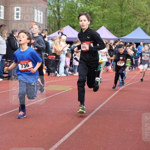 14.04.2024 - Hammer Lauf Strokosch-Dieckow http://msf.ph/oto/6065193 14.04.2024 09:50:19 Ziel 197, 484, 725, 736, 737, 739, 787, 863, 899, 952, 1005, 1019, 1065, 197, 484, 725, 736, 737, 739, 787, 863, 899, 952, 1005, 1019, 1065 meine-sportfotos.de