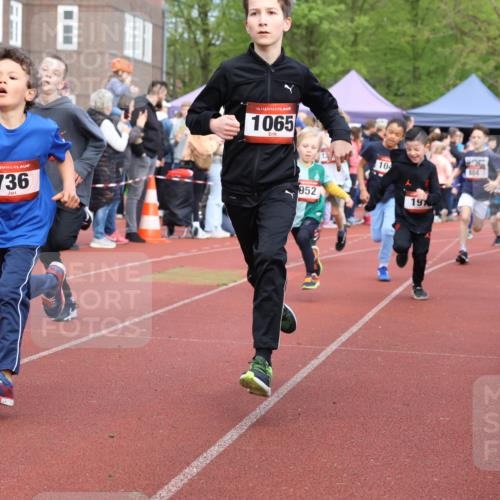 14.04.2024 - Hammer Lauf Strokosch-Dieckow http://msf.ph/oto/6065195 14.04.2024 09:50:19 Ziel 197, 484, 725, 736, 737, 739, 787, 863, 899, 952, 1005, 1019, 1065, 197, 484, 725, 736, 737, 739, 787, 863, 899, 952, 1005, 1019, 1065 meine-sportfotos.de
