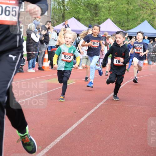14.04.2024 - Hammer Lauf Strokosch-Dieckow http://msf.ph/oto/6065196 14.04.2024 09:50:20 Ziel 197, 484, 736, 737, 739, 787, 863, 884, 899, 952, 1005, 1019, 1040, 1065, 197, 484, 736, 737, 739, 787, 863, 884, 899, 952, 1005, 1019, 1040, 1065 meine-sportfotos.de