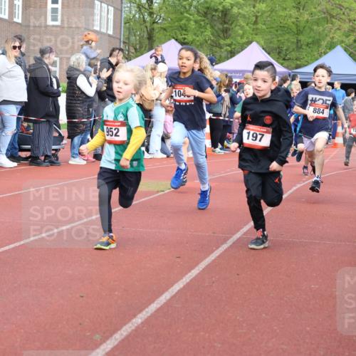 14.04.2024 - Hammer Lauf Strokosch-Dieckow http://msf.ph/oto/6065198 14.04.2024 09:50:20 Ziel 197, 484, 736, 737, 739, 787, 863, 884, 899, 952, 1005, 1019, 1040, 1065, 197, 484, 736, 737, 739, 787, 863, 884, 899, 952, 1005, 1019, 1040, 1065 meine-sportfotos.de