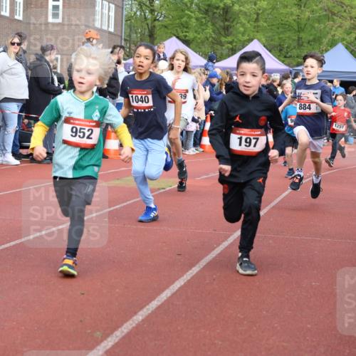 14.04.2024 - Hammer Lauf Strokosch-Dieckow http://msf.ph/oto/6065200 14.04.2024 09:50:20 Ziel 197, 484, 736, 737, 739, 787, 863, 884, 899, 952, 1005, 1019, 1040, 1065, 197, 484, 736, 737, 739, 787, 863, 884, 899, 952, 1005, 1019, 1040, 1065 meine-sportfotos.de