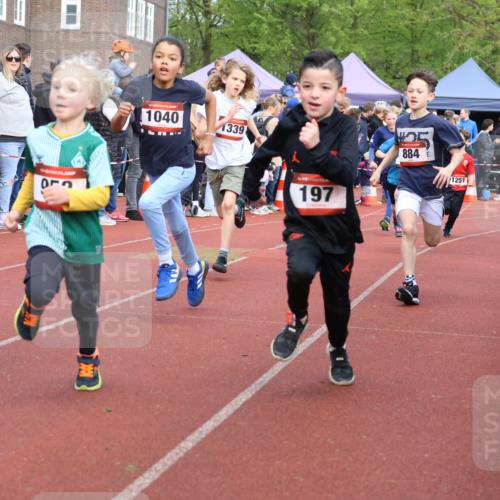 14.04.2024 - Hammer Lauf Strokosch-Dieckow http://msf.ph/oto/6065201 14.04.2024 09:50:21 Ziel 197, 484, 736, 737, 739, 787, 863, 884, 899, 952, 966, 1005, 1019, 1040, 1065, 1126, 1339, 197, 484, 736, 737, 739, 787, 863, 884, 899, 952, 966, 1005, 1019, 1040, 1065, 1126, 1339 meine-sportfotos.de
