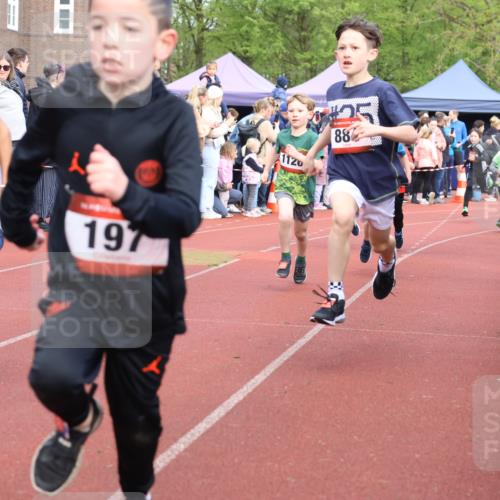 14.04.2024 - Hammer Lauf Strokosch-Dieckow http://msf.ph/oto/6065202 14.04.2024 09:50:21 Ziel 197, 484, 736, 737, 739, 787, 863, 884, 899, 952, 966, 1005, 1019, 1040, 1065, 1126, 1339, 197, 484, 736, 737, 739, 787, 863, 884, 899, 952, 966, 1005, 1019, 1040, 1065, 1126, 1339 meine-sportfotos.de