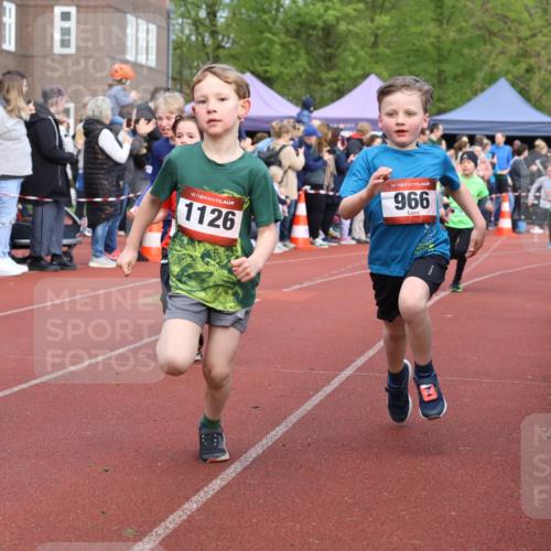 14.04.2024 - Hammer Lauf Strokosch-Dieckow http://msf.ph/oto/6065206 14.04.2024 09:50:22 Ziel 197, 736, 737, 739, 787, 863, 884, 899, 952, 966, 998, 1005, 1040, 1065, 1126, 1251, 1339, 197, 736, 737, 739, 787, 863, 884, 899, 952, 966, 998, 1005, 1040, 1065, 1126, 1251, 1339 meine-sportfotos.de