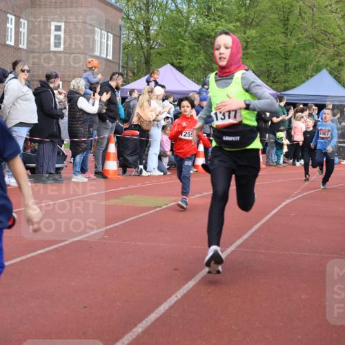 14.04.2024 - Hammer Lauf Strokosch-Dieckow http://msf.ph/oto/6065219 14.04.2024 09:50:29 Ziel 197, 736, 787, 840, 884, 933, 952, 966, 998, 1040, 1126, 1191, 1251, 1294, 1339, 1377, 197, 736, 787, 840, 884, 933, 952, 966, 998, 1040, 1126, 1191, 1251, 1294, 1339, 1377 meine-sportfotos.de
