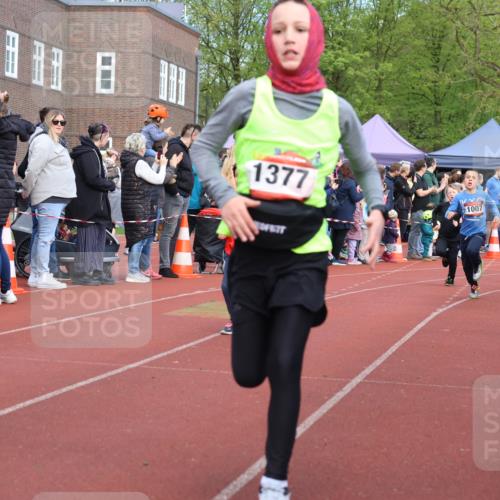 14.04.2024 - Hammer Lauf Strokosch-Dieckow http://msf.ph/oto/6065222 14.04.2024 09:50:29 Ziel 197, 736, 787, 840, 884, 933, 952, 966, 998, 1040, 1126, 1191, 1251, 1294, 1339, 1377, 197, 736, 787, 840, 884, 933, 952, 966, 998, 1040, 1126, 1191, 1251, 1294, 1339, 1377 meine-sportfotos.de