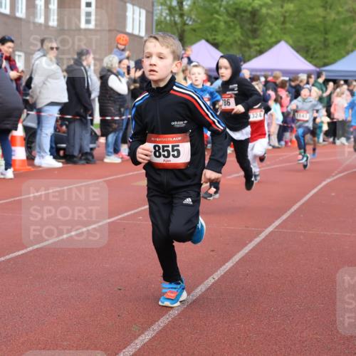 14.04.2024 - Hammer Lauf Strokosch-Dieckow http://msf.ph/oto/6065232 14.04.2024 09:50:33 Ziel 786, 840, 855, 933, 942, 1007, 1191, 1259, 1294, 1377, 786, 840, 855, 933, 942, 1007, 1191, 1259, 1294, 1377 meine-sportfotos.de
