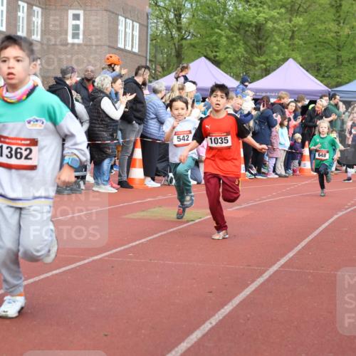 14.04.2024 - Hammer Lauf Strokosch-Dieckow http://msf.ph/oto/6065263 14.04.2024 09:50:47 Ziel 498, 514, 542, 664, 760, 824, 885, 957, 969, 993, 1006, 1017, 1039, 1057, 1058, 1180, 1277, 1285, 1362, 498, 514, 542, 664, 760, 824, 885, 957, 969, 993, 1006, 1017, 1039, 1057, 1058, 1180, 1277, 1285, 1362 meine-sportfotos.de