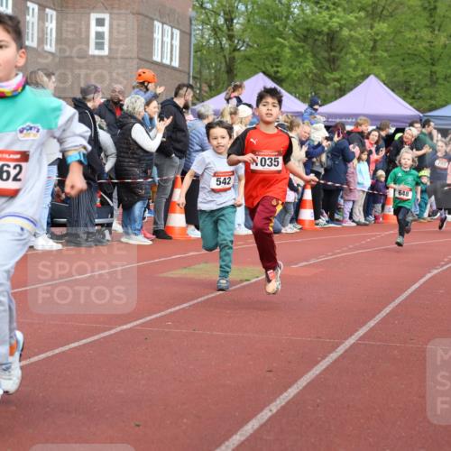 14.04.2024 - Hammer Lauf Strokosch-Dieckow http://msf.ph/oto/6065264 14.04.2024 09:50:47 Ziel 498, 514, 542, 664, 760, 824, 885, 957, 969, 993, 1006, 1017, 1039, 1057, 1058, 1180, 1277, 1285, 1362, 498, 514, 542, 664, 760, 824, 885, 957, 969, 993, 1006, 1017, 1039, 1057, 1058, 1180, 1277, 1285, 1362 meine-sportfotos.de