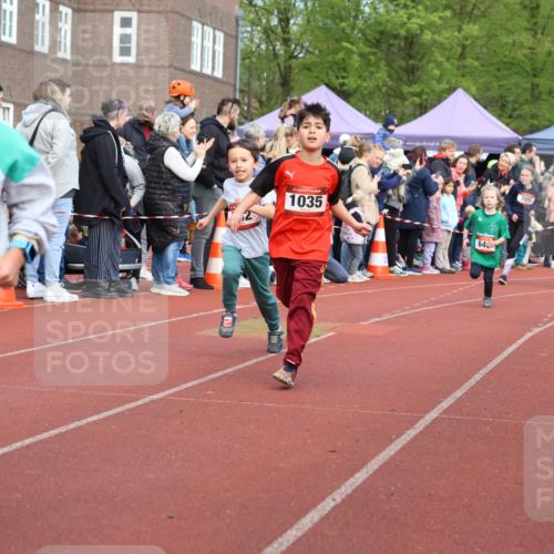 14.04.2024 - Hammer Lauf Strokosch-Dieckow http://msf.ph/oto/6065265 14.04.2024 09:50:47 Ziel 498, 514, 542, 664, 760, 824, 885, 957, 969, 993, 1006, 1017, 1039, 1057, 1058, 1180, 1277, 1285, 1362, 498, 514, 542, 664, 760, 824, 885, 957, 969, 993, 1006, 1017, 1039, 1057, 1058, 1180, 1277, 1285, 1362 meine-sportfotos.de