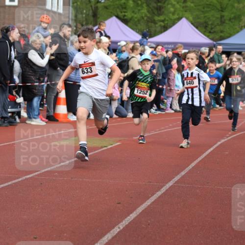 14.04.2024 - Hammer Lauf Strokosch-Dieckow http://msf.ph/oto/6065275 14.04.2024 09:50:53 Ziel 498, 514, 542, 633, 640, 648, 705, 957, 967, 1035, 1180, 1252, 1362, 1394, 498, 514, 542, 633, 640, 648, 705, 957, 967, 1035, 1180, 1252, 1362, 1394 meine-sportfotos.de