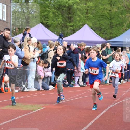 14.04.2024 - Hammer Lauf Strokosch-Dieckow http://msf.ph/oto/6065298 14.04.2024 09:51:10 Ziel 463, 544, 555, 591, 619, 630, 666, 689, 854, 948, 956, 986, 995, 463, 544, 555, 591, 619, 630, 666, 689, 854, 948, 956, 986, 995 meine-sportfotos.de
