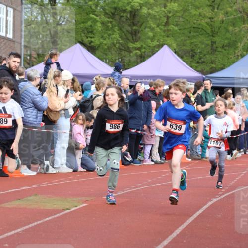 14.04.2024 - Hammer Lauf Strokosch-Dieckow http://msf.ph/oto/6065299 14.04.2024 09:51:10 Ziel 463, 544, 555, 591, 619, 630, 666, 689, 854, 948, 956, 986, 995, 463, 544, 555, 591, 619, 630, 666, 689, 854, 948, 956, 986, 995 meine-sportfotos.de