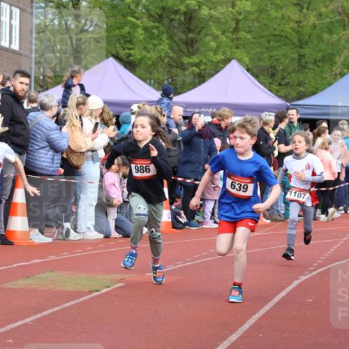 14.04.2024 - Hammer Lauf Strokosch-Dieckow http://msf.ph/oto/6065300 14.04.2024 09:51:10 Ziel 463, 544, 555, 591, 619, 630, 666, 689, 854, 948, 956, 986, 995, 463, 544, 555, 591, 619, 630, 666, 689, 854, 948, 956, 986, 995 meine-sportfotos.de