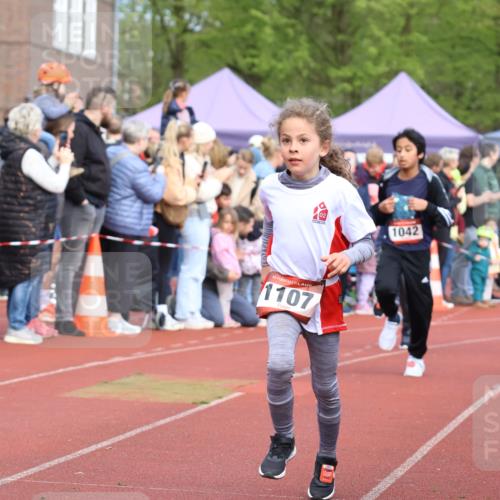 14.04.2024 - Hammer Lauf Strokosch-Dieckow http://msf.ph/oto/6065302 14.04.2024 09:51:13 Ziel 463, 544, 619, 639, 666, 689, 752, 854, 948, 956, 986, 463, 544, 619, 639, 666, 689, 752, 854, 948, 956, 986 meine-sportfotos.de