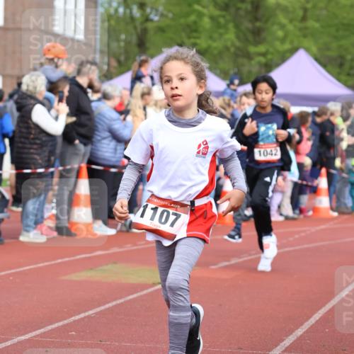 14.04.2024 - Hammer Lauf Strokosch-Dieckow http://msf.ph/oto/6065305 14.04.2024 09:51:13 Ziel 463, 544, 619, 639, 666, 689, 752, 854, 948, 956, 986, 463, 544, 619, 639, 666, 689, 752, 854, 948, 956, 986 meine-sportfotos.de