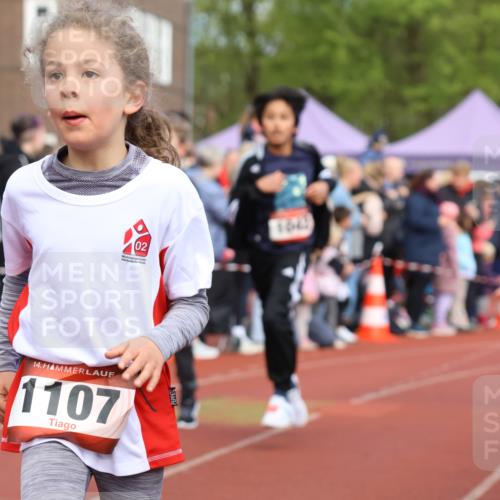 14.04.2024 - Hammer Lauf Strokosch-Dieckow http://msf.ph/oto/6065307 14.04.2024 09:51:14 Ziel 463, 544, 619, 639, 689, 752, 854, 948, 956, 986, 1107, 463, 544, 619, 639, 689, 752, 854, 948, 956, 986, 1107 meine-sportfotos.de