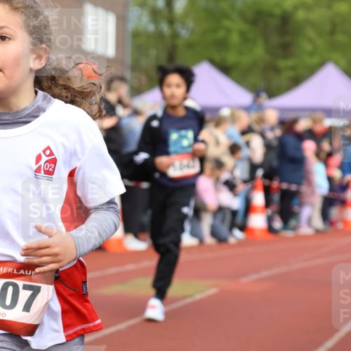 14.04.2024 - Hammer Lauf Strokosch-Dieckow http://msf.ph/oto/6065308 14.04.2024 09:51:14 Ziel 463, 544, 619, 639, 689, 752, 854, 948, 956, 986, 1107, 463, 544, 619, 639, 689, 752, 854, 948, 956, 986, 1107 meine-sportfotos.de