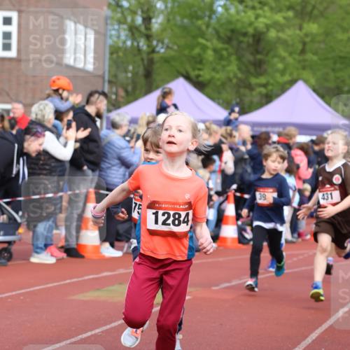 14.04.2024 - Hammer Lauf Strokosch-Dieckow http://msf.ph/oto/6065312 14.04.2024 09:51:18 Ziel 431, 619, 639, 689, 751, 752, 956, 986, 1042, 1107, 1284, 1297, 431, 619, 639, 689, 751, 752, 956, 986, 1042, 1107, 1284, 1297 meine-sportfotos.de